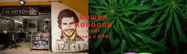 твердый Алексин