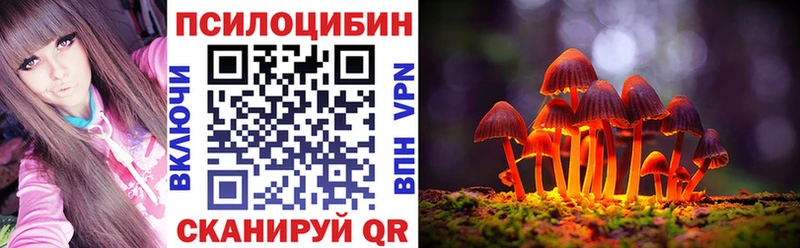 кракен tor  Богданович  Псилоцибиновые грибы ЛСД 