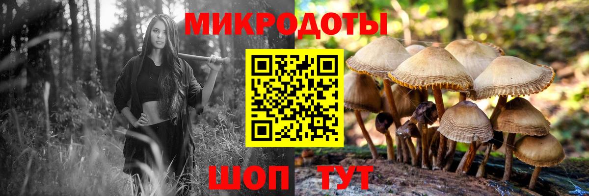 Галлюциногенные грибы Cubensis Богданович