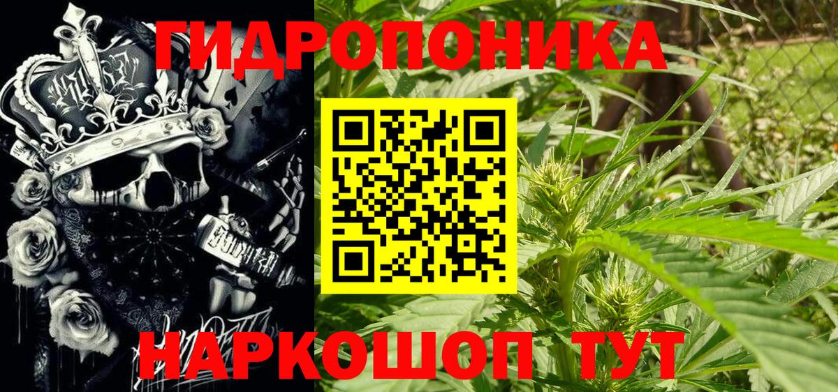 Шишки марихуана марихуана Богданович